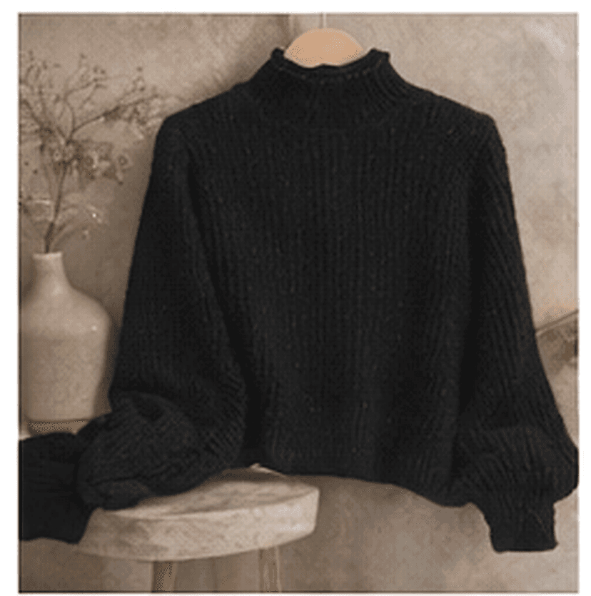 ハイネックニット（ブラック）